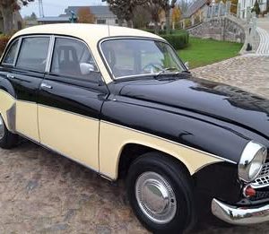 Mischöle für 2-Taktmotoren und Gartengeräte